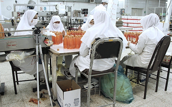سازمان های مردم نهاد کشور از کارخانه فیروز بازدید کردند
